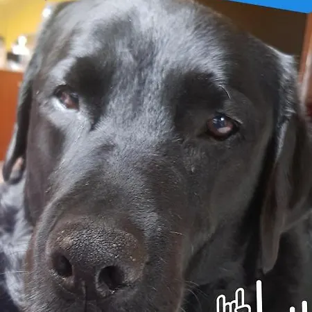 Apartament WHITEGRAY Studio 105 m2 *