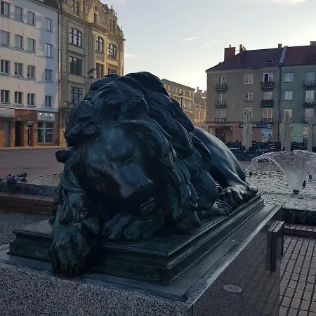 Trzy Sowy Noclegi Bytom 24H Meldunek Samodzielny Wygodnelokumpl *