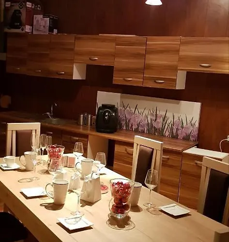 Trzy Sowy Noclegi Bytom 24H Meldunek Samodzielny Wygodnelokumpl ביטום